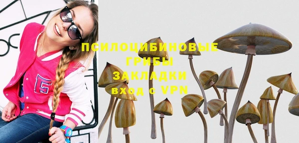гидропоника Карпинск