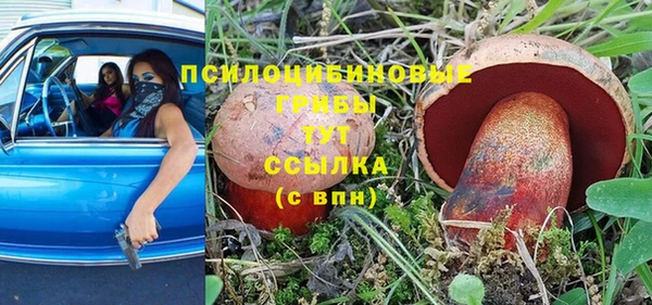 крисы Инсар