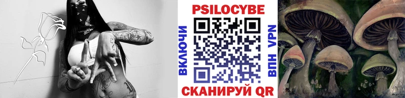 блэк спрут зеркало  Красный Кут  Псилоцибиновые грибы Psilocybe  продажа наркотиков 